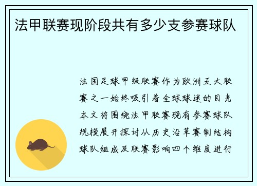 法甲联赛现阶段共有多少支参赛球队
