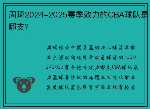 周琦2024-2025赛季效力的CBA球队是哪支？